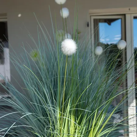 Dimora Roe Monticello d'Alba