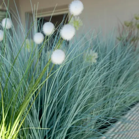 Dimora Roe * Monticello d'Alba