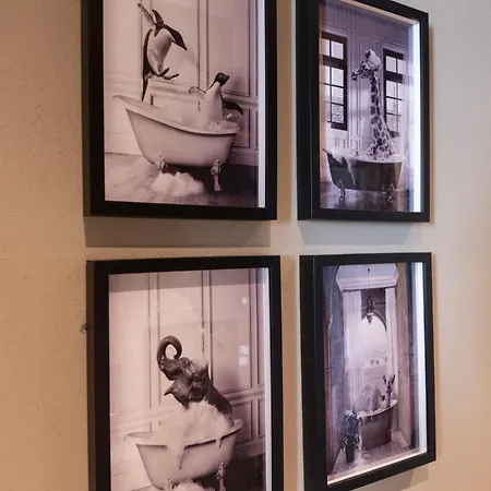 아파트 Dimora Roe