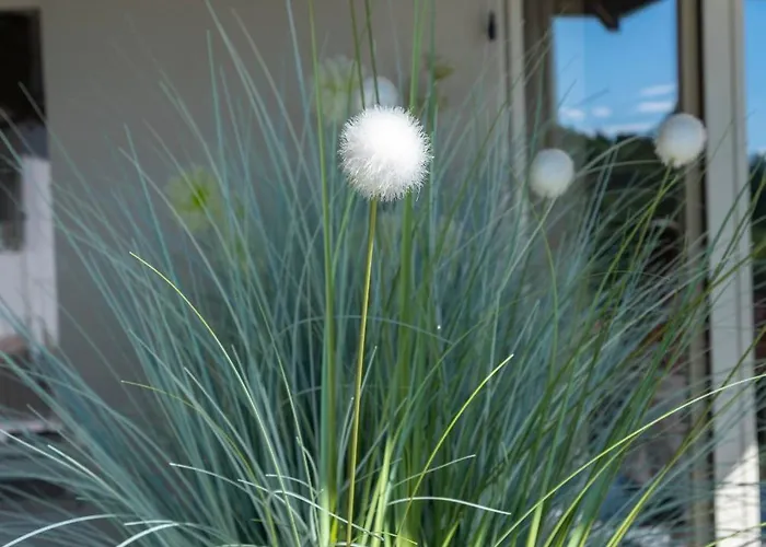 Dimora Roe Monticello d'Alba