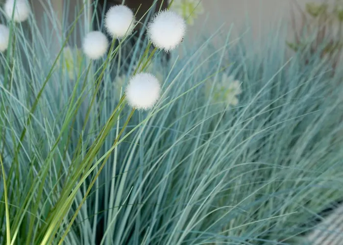 Dimora Roe * Monticello d'Alba